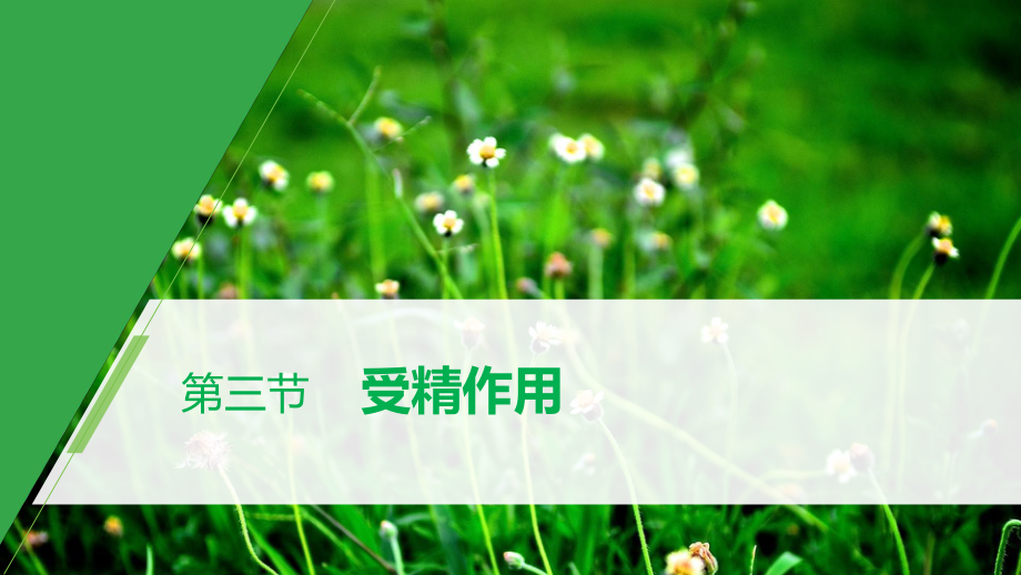 第3章 第三节 受精作用 ppt课件-2023新北师大版（2019）《高中生物》必修第二册.pptx_第1页