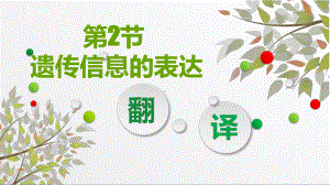 第二章第二节 翻译 ppt课件-2023新北师大版（2019）《高中生物》必修第二册.pptx