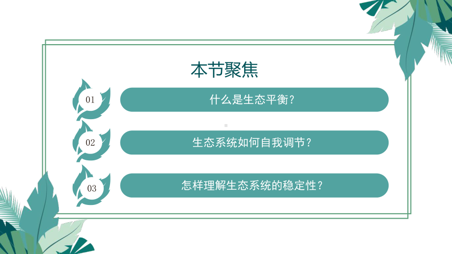 3.5生态系统的稳定性ppt课件-2023新人教版(2019）《高中生物》选择性必修第二册.pptx_第2页