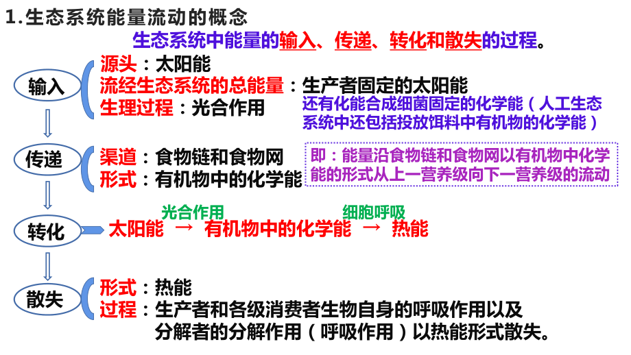 一轮复习ppt课件：生态系统的能量流动难点突破-2023新人教版(2019）《高中生物》选择性必修第二册.pptx_第3页