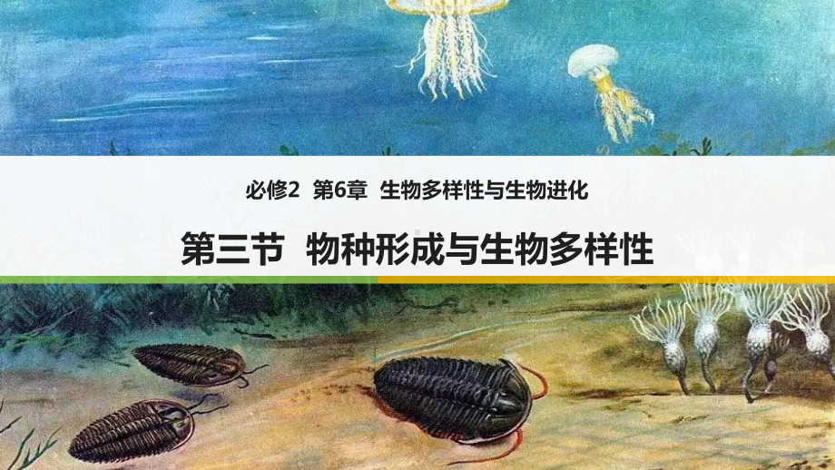 6.3 物种形成与生物多样性ppt课件-2023新北师大版（2019）《高中生物》必修第二册.pptx_第1页