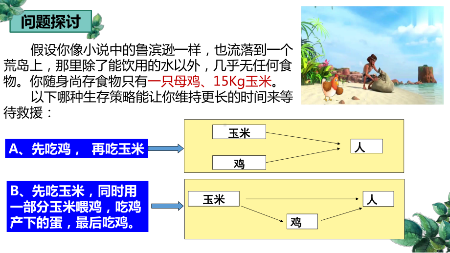 3.2生态系统的能量流动ppt课件(同名4)-2023新人教版(2019）《高中生物》选择性必修第二册.pptx_第3页