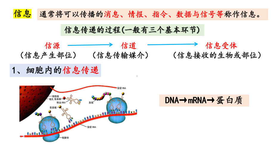 3.4生态系统的信息传递ppt课件-2023新人教版(2019）《高中生物》选择性必修第二册.pptx_第2页