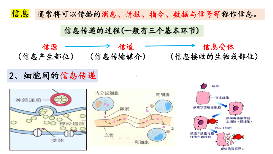 3.4生态系统的信息传递ppt课件-2023新人教版(2019）《高中生物》选择性必修第二册.pptx_第3页