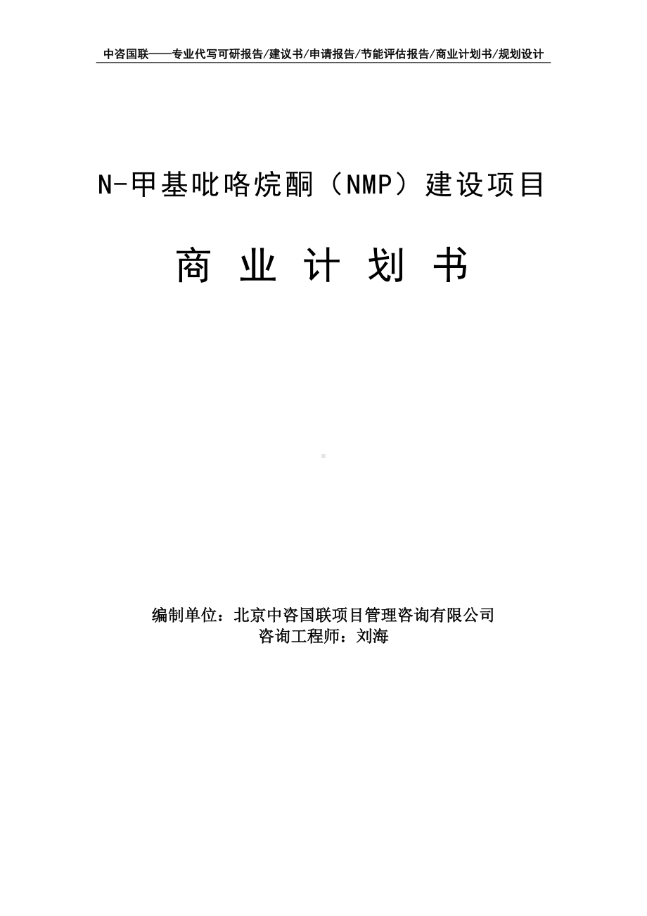 N-甲基吡咯烷酮（NMP）建设项目商业计划书写作模板-融资招商.doc_第1页