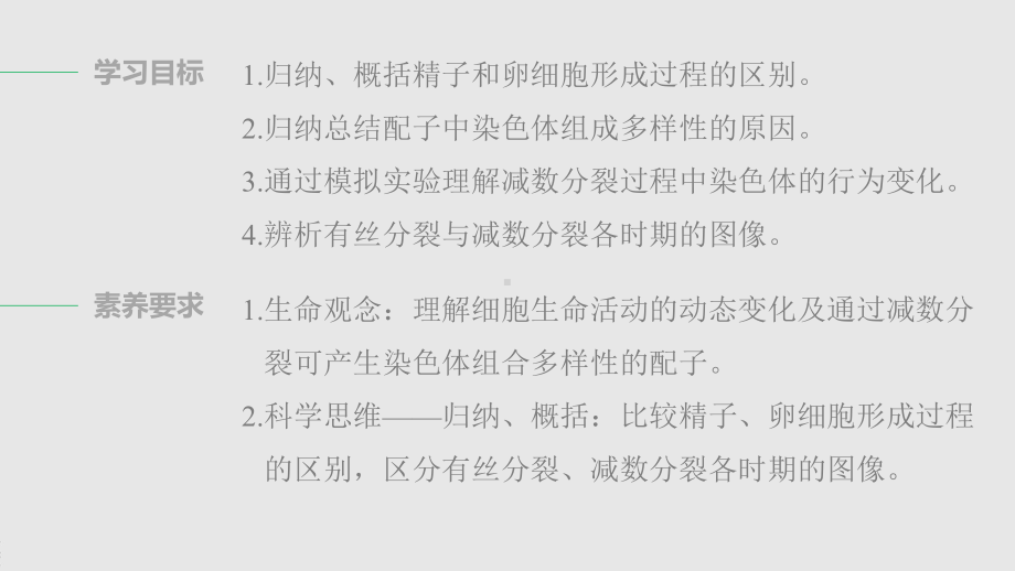 第3章 第二节 第2课时 卵母细胞分裂形成卵细胞、模拟减数分裂过程中的染色体行为、有丝分裂与减数分裂图像辨析 ppt课件-2023新北师大版（2019）《高中生物》必修第二册.pptx_第2页