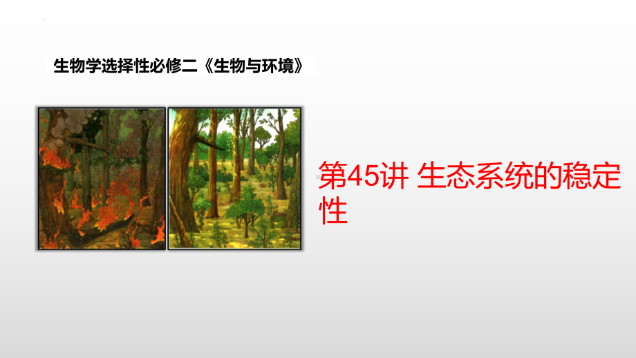 3.5 生态系统的稳定性 ppt课件 (同名2)-2023新人教版(2019）《高中生物》选择性必修第二册.pptx_第1页