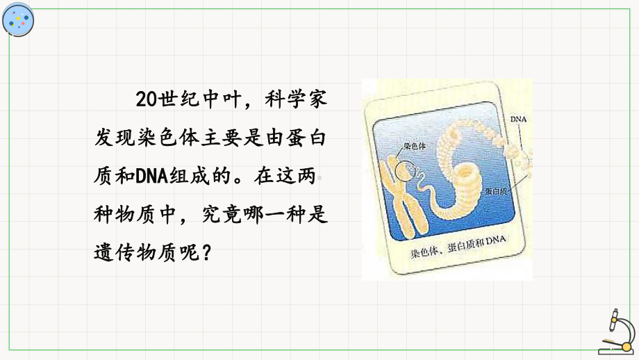 1.1DNA是主要遗传物质的探索 ppt课件-2023新北师大版（2019）《高中生物》必修第二册.pptx_第2页