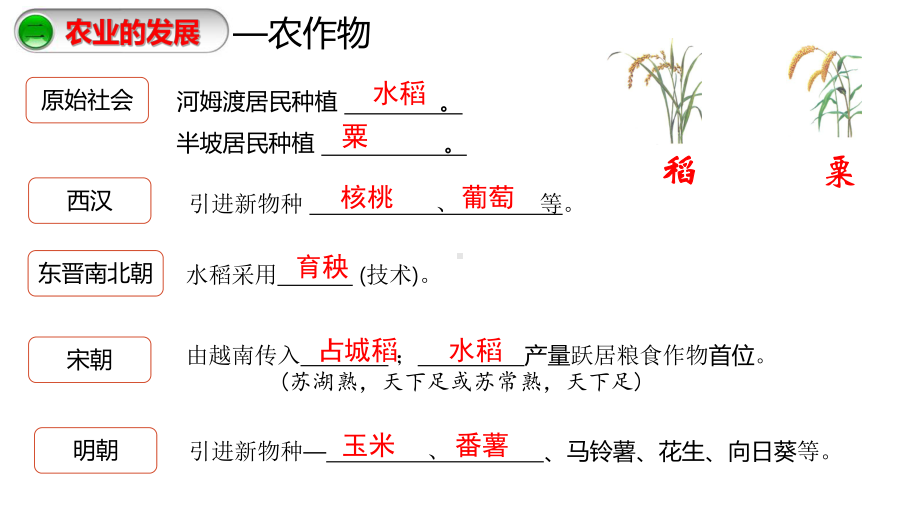 二轮专题复习中国古代经济 ppt课件-(部）统编版九年级下册《历史》.pptx_第3页