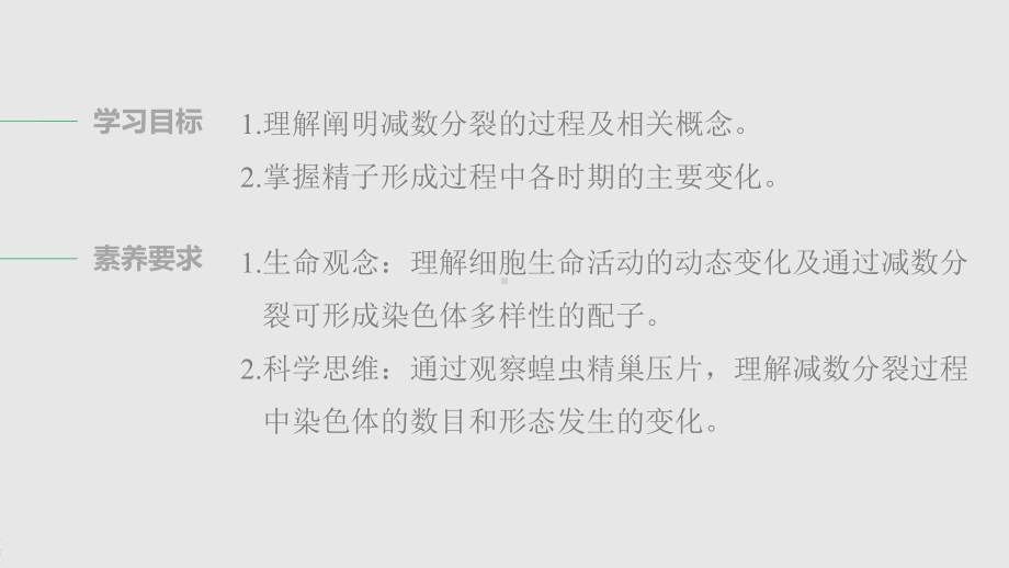 第3章 第二节 第1课时 减数分裂的相关概念、精母细胞分裂形成精细胞 ppt课件-2023新北师大版（2019）《高中生物》必修第二册.pptx_第2页