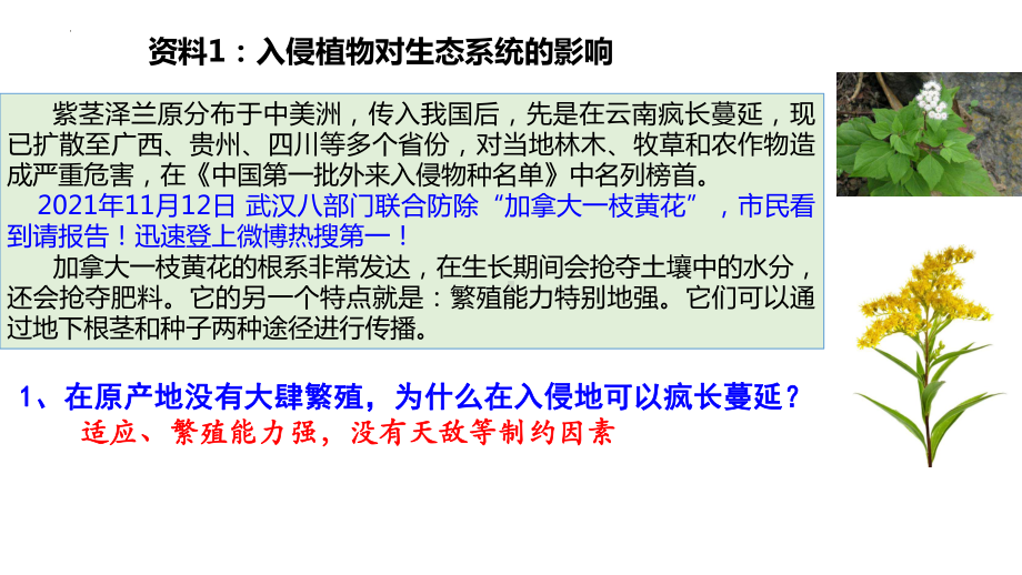 3.5生态系统的稳定性ppt课件(同名19)-2023新人教版(2019）《高中生物》选择性必修第二册.pptx_第3页