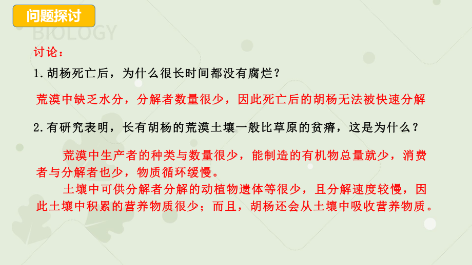 3.3生态系统的物质循环ppt课件-2023新人教版(2019）《高中生物》选择性必修第二册.pptx_第3页