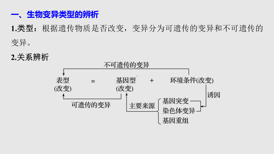 第5章 微专题(四) 遗传变异相关的解题方法 ppt课件-2023新北师大版（2019）《高中生物》必修第二册.pptx_第2页