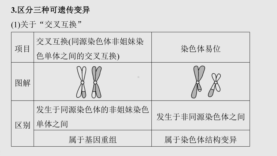 第5章 微专题(四) 遗传变异相关的解题方法 ppt课件-2023新北师大版（2019）《高中生物》必修第二册.pptx_第3页