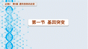 5.1 基因突变ppt课件-2023新北师大版（2019）《高中生物》必修第二册.pptx