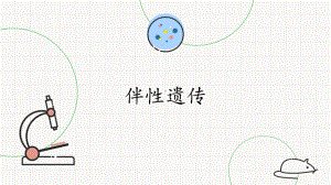 4.3伴性遗传 ppt课件-2023新北师大版（2019）《高中生物》必修第二册.pptx