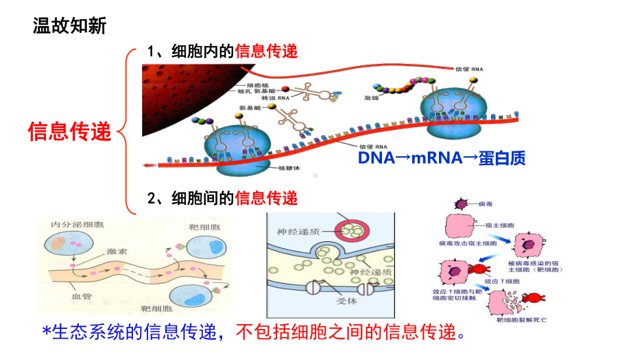 3.4生态系统的信息传递ppt课件 -2023新人教版(2019）《高中生物》选择性必修第二册.pptx_第2页