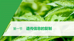 第2章 第一节 遗传信息的复制 ppt课件-2023新北师大版（2019）《高中生物》必修第二册.pptx