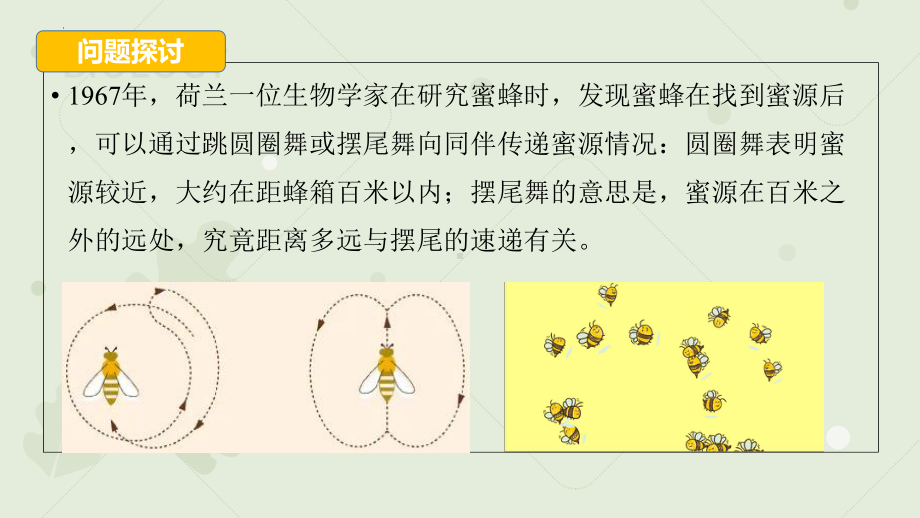 3.4生态系统的信息传递ppt课件 (同名2)-2023新人教版(2019）《高中生物》选择性必修第二册.pptx_第2页