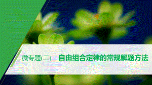 第4章 微专题(二) 自由组合定律的常规解题方法 ppt课件-2023新北师大版（2019）《高中生物》必修第二册.pptx