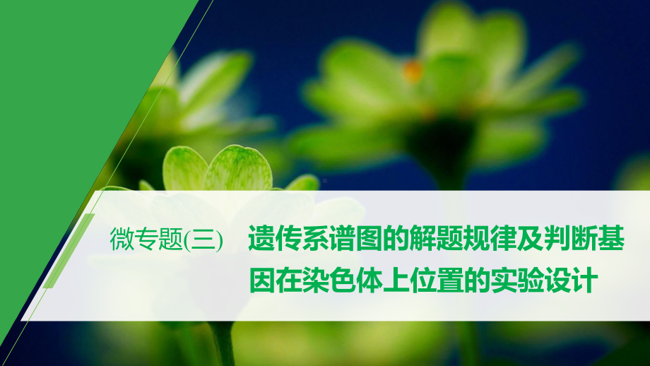 第4章 微专题(三) 遗传系谱图的解题规律及判断基因在染色体上位置的实验设计 ppt课件-2023新北师大版（2019）《高中生物》必修第二册.pptx_第1页