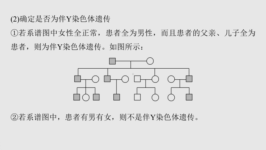 第4章 微专题(三) 遗传系谱图的解题规律及判断基因在染色体上位置的实验设计 ppt课件-2023新北师大版（2019）《高中生物》必修第二册.pptx_第3页