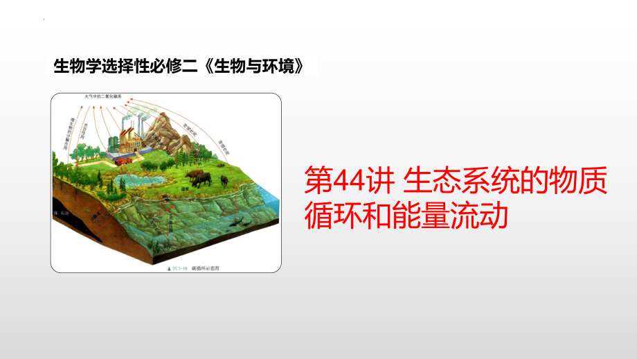 3.3 生态系统的物质循环和能量流动 ppt课件-2023新人教版(2019）《高中生物》选择性必修第二册.pptx_第1页