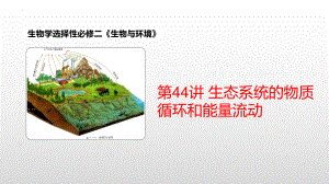 3.3 生态系统的物质循环和能量流动 ppt课件-2023新人教版(2019）《高中生物》选择性必修第二册.pptx