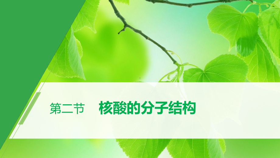 第1章 第二节 核酸的分子结构 ppt课件-2023新北师大版（2019）《高中生物》必修第二册.pptx_第1页