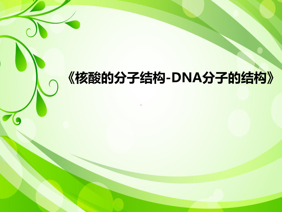 教学 ppt课件+核酸的分子结构-DNA分子的结构(共23张PPT)-2023新北师大版（2019）《高中生物》必修第二册.pptx_第1页