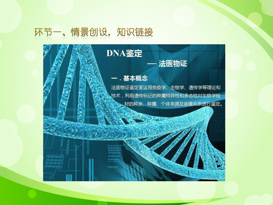 教学 ppt课件+核酸的分子结构-DNA分子的结构(共23张PPT)-2023新北师大版（2019）《高中生物》必修第二册.pptx_第2页