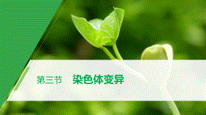 第5章 第三节 染色体变异 ppt课件-2023新北师大版（2019）《高中生物》必修第二册.pptx