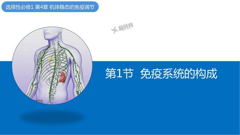 4.1 免疫系统的构成 ppt课件-2023新北师大版（2019）《高中生物》必修第一册.pptx_第1页