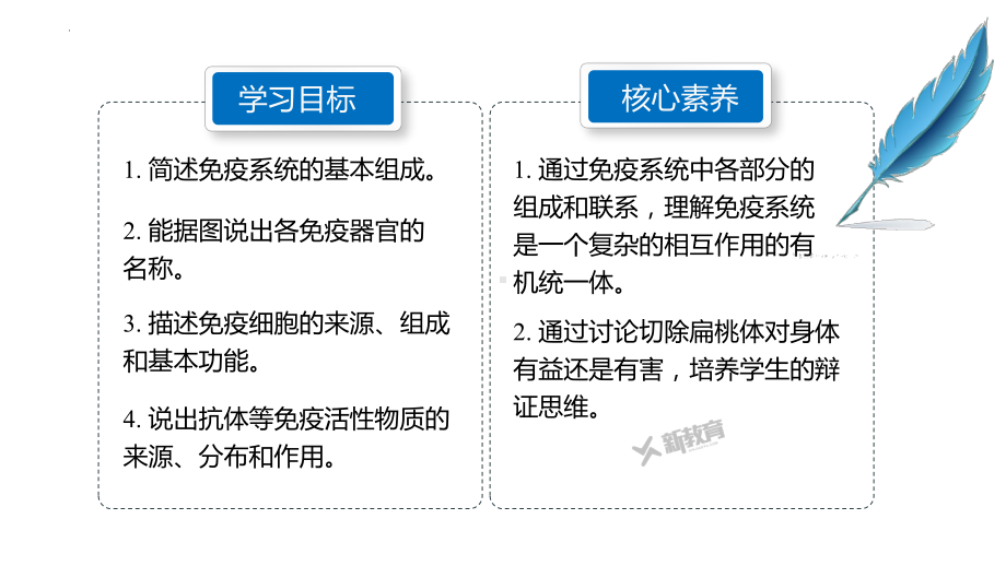 4.1 免疫系统的构成 ppt课件-2023新北师大版（2019）《高中生物》必修第一册.pptx_第2页