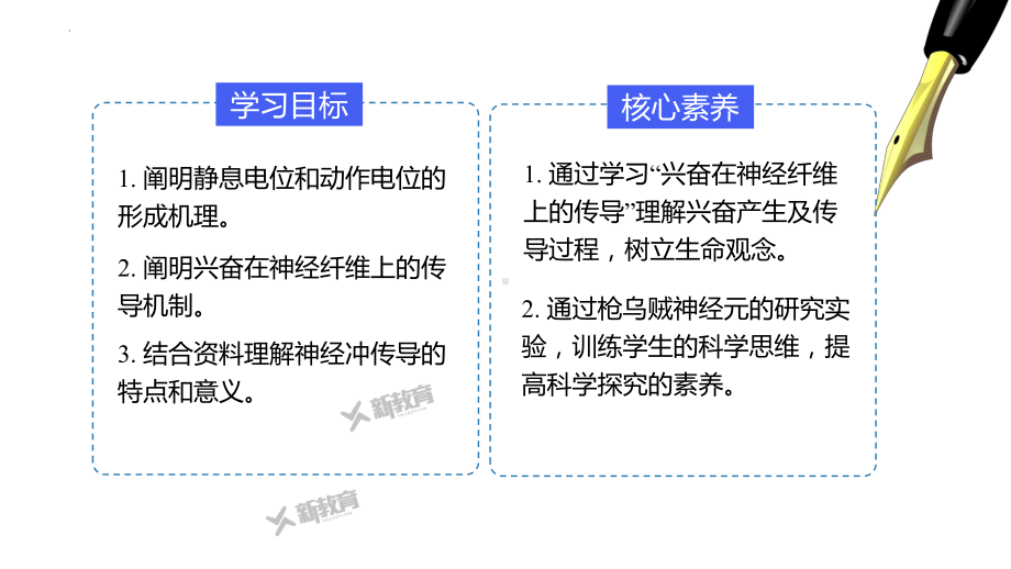 2.2神经冲动的产生与传导 ppt课件-2023新北师大版（2019）《高中生物》必修第一册.pptx_第2页