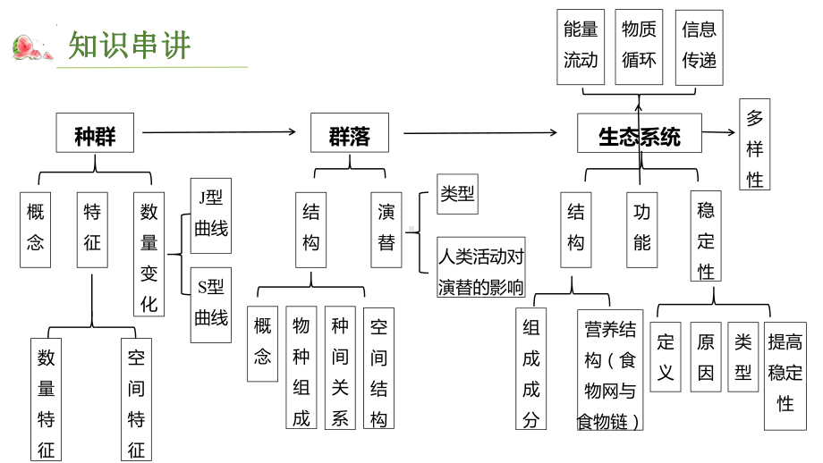 一轮复习 ppt课件专题八 生物与环境2 群落的演替-2023新人教版（2019）《高中生物》选择性必修第二册.pptx_第2页