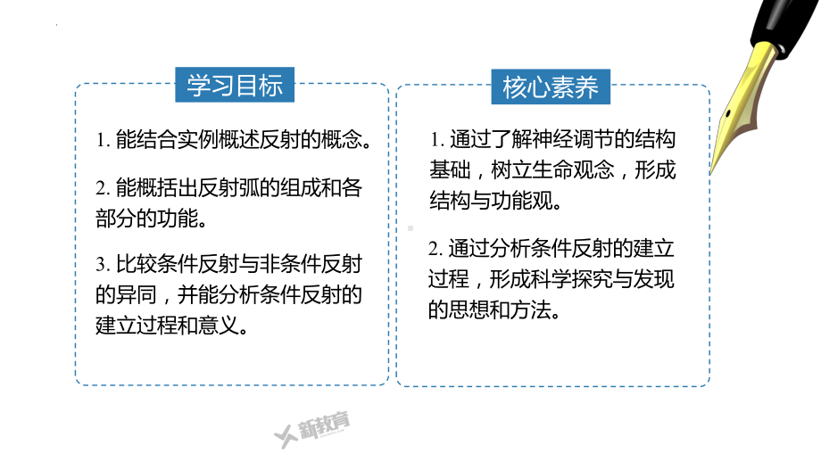 2.1神经调节的基本方式 ppt课件-2023新北师大版（2019）《高中生物》必修第一册.pptx_第2页