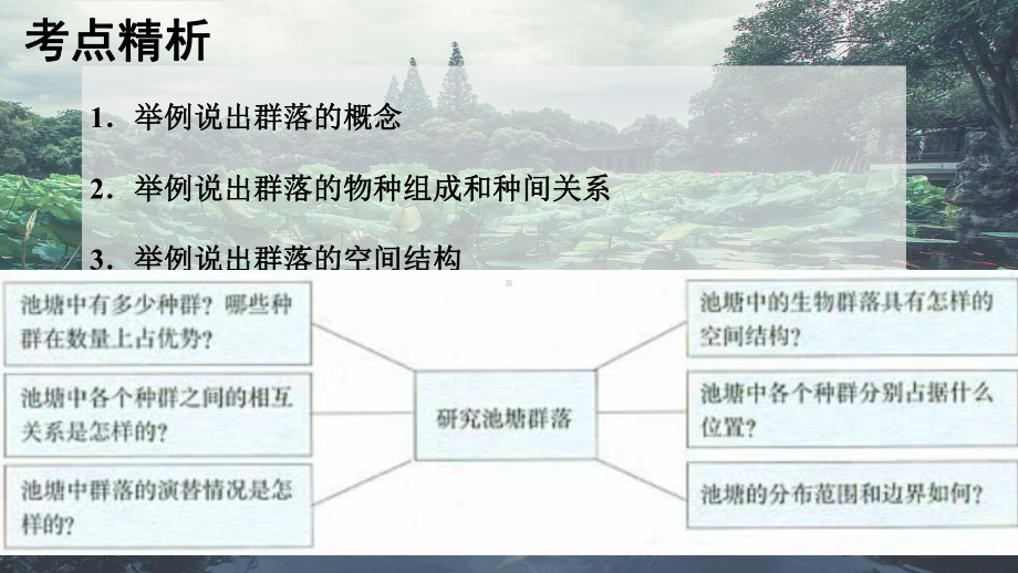 一轮复习：群落的结构与演替 ppt课件-2023新人教版（2019）《高中生物》选择性必修第二册.pptx_第2页