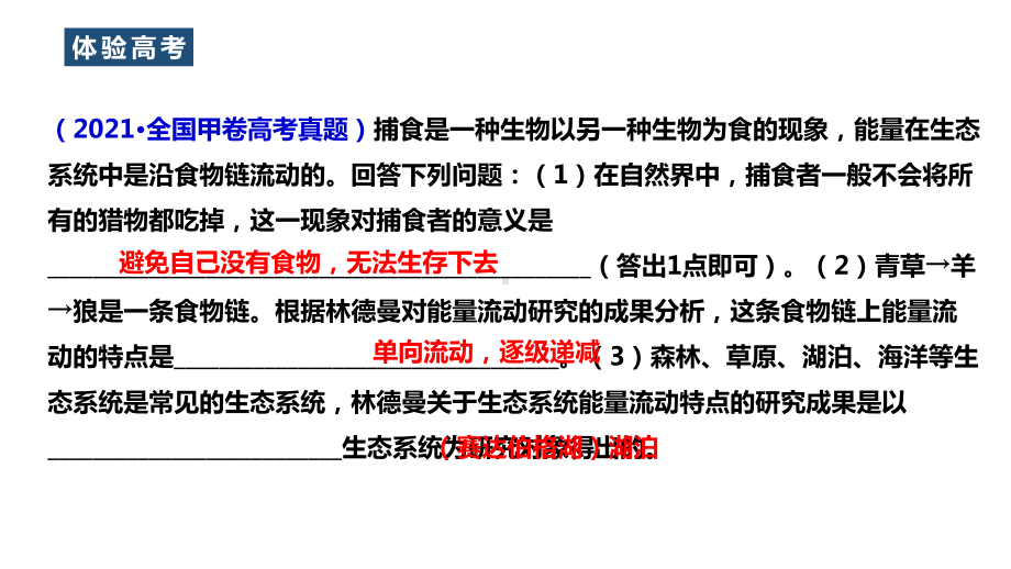 一轮复习 ppt课件：生态系统的能量流动(1)-2023新人教版（2019）《高中生物》选择性必修第二册.pptx_第2页