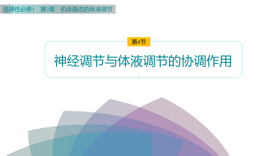 3.4 内分泌系统与激素 ppt课件-2023新北师大版（2019）《高中生物》必修第一册.pptx_第1页