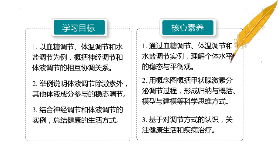 3.4 内分泌系统与激素 ppt课件-2023新北师大版（2019）《高中生物》必修第一册.pptx_第2页