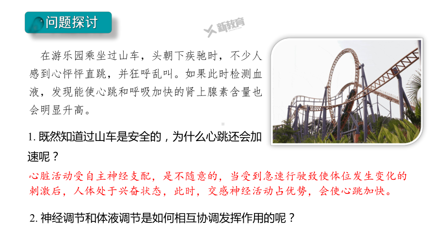 3.4 内分泌系统与激素 ppt课件-2023新北师大版（2019）《高中生物》必修第一册.pptx_第3页