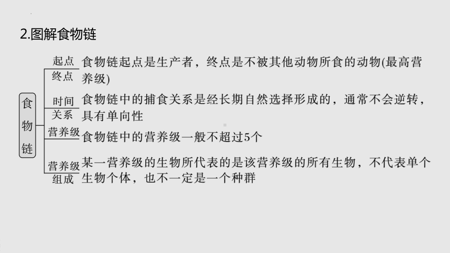 二轮复习：生态系统的结构与功能 ppt课件-2023新人教版（2019）《高中生物》选择性必修第二册.pptx_第3页