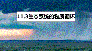 一轮复习 ppt课件：生态系统的物质循环和信息传递(1)-2023新人教版（2019）《高中生物》选择性必修第二册.pptx