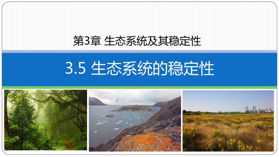 3.5生态系统的稳定性 ppt课件(1)-2023新人教版（2019）《高中生物》选择性必修第二册.pptx_第1页