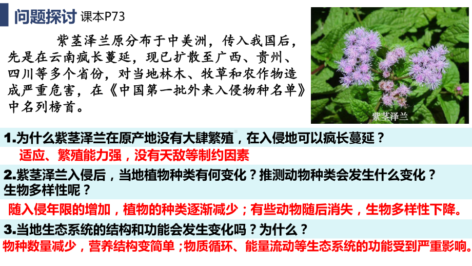 3.5生态系统的稳定性 ppt课件(1)-2023新人教版（2019）《高中生物》选择性必修第二册.pptx_第3页