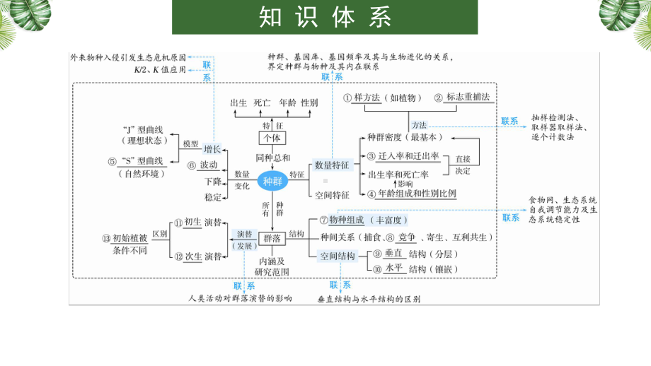 一轮复习：种群和群落 ppt课件-2023新人教版（2019）《高中生物》选择性必修第二册.pptx_第2页