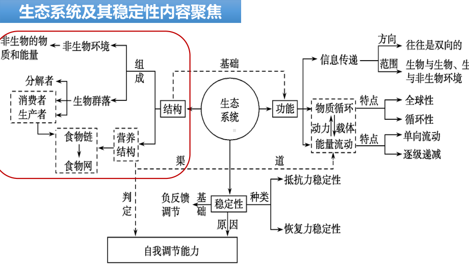 一轮复习：生态系统的结构 ppt课件 (2)-2023新人教版（2019）《高中生物》选择性必修第二册.pptx_第3页