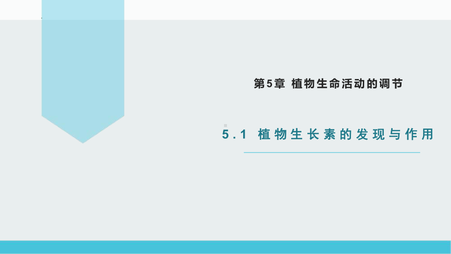 5.1 植物生长素的发现与作用ppt课件 -2023新北师大版（2019）《高中生物》必修第一册.pptx_第1页