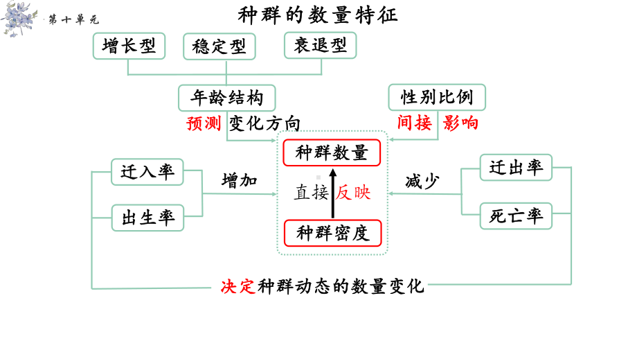 二轮复习：种群及其动态 ppt课件-2023新人教版（2019）《高中生物》选择性必修第二册.pptx_第3页